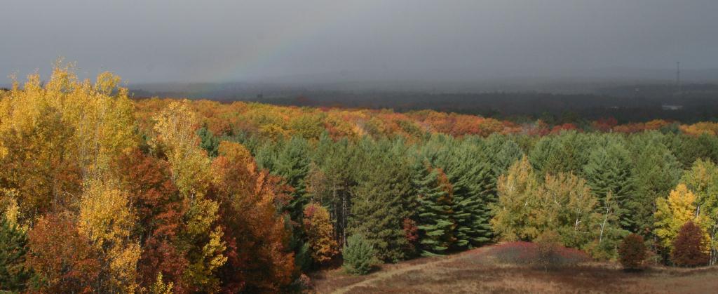 fall rainbow and trees