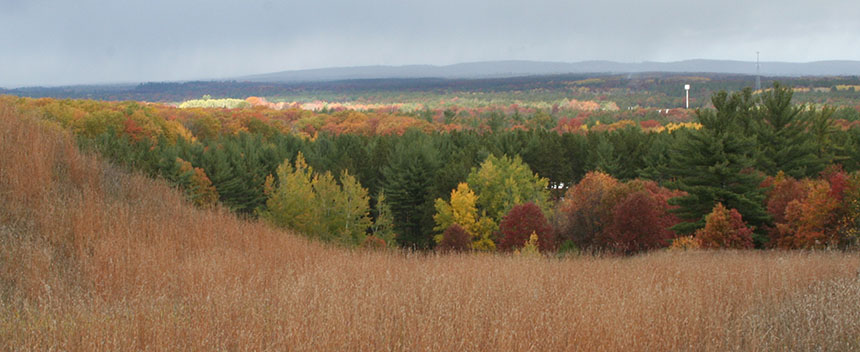autumn color on the COOR hill